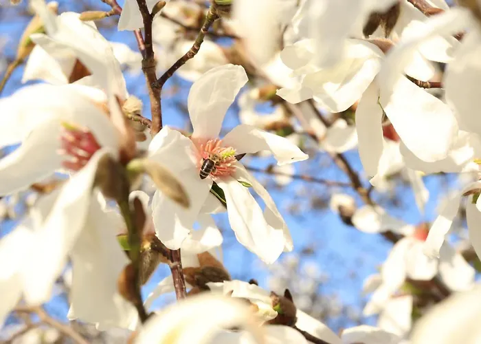 Oremushof 3* Velden am Woerthersee